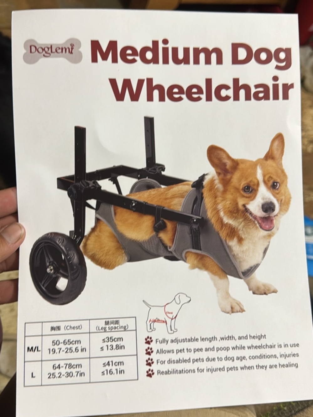 Medium Dog Wheelchair Harness Gray Back Legs